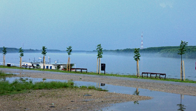 Donau mist after thunderstorm